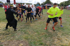 BFit at the OCRs