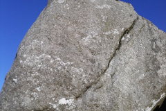 BFit on the Moors