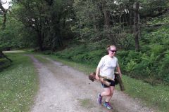 BFit on the Moors